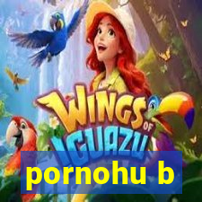 pornohu b